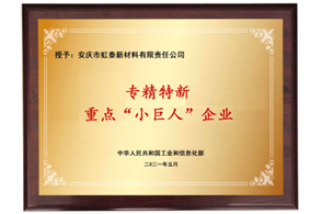 国家重点“小巨人”企业